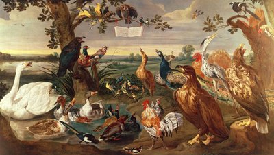 Verschillende vogels door Frans Snyders or Snijders